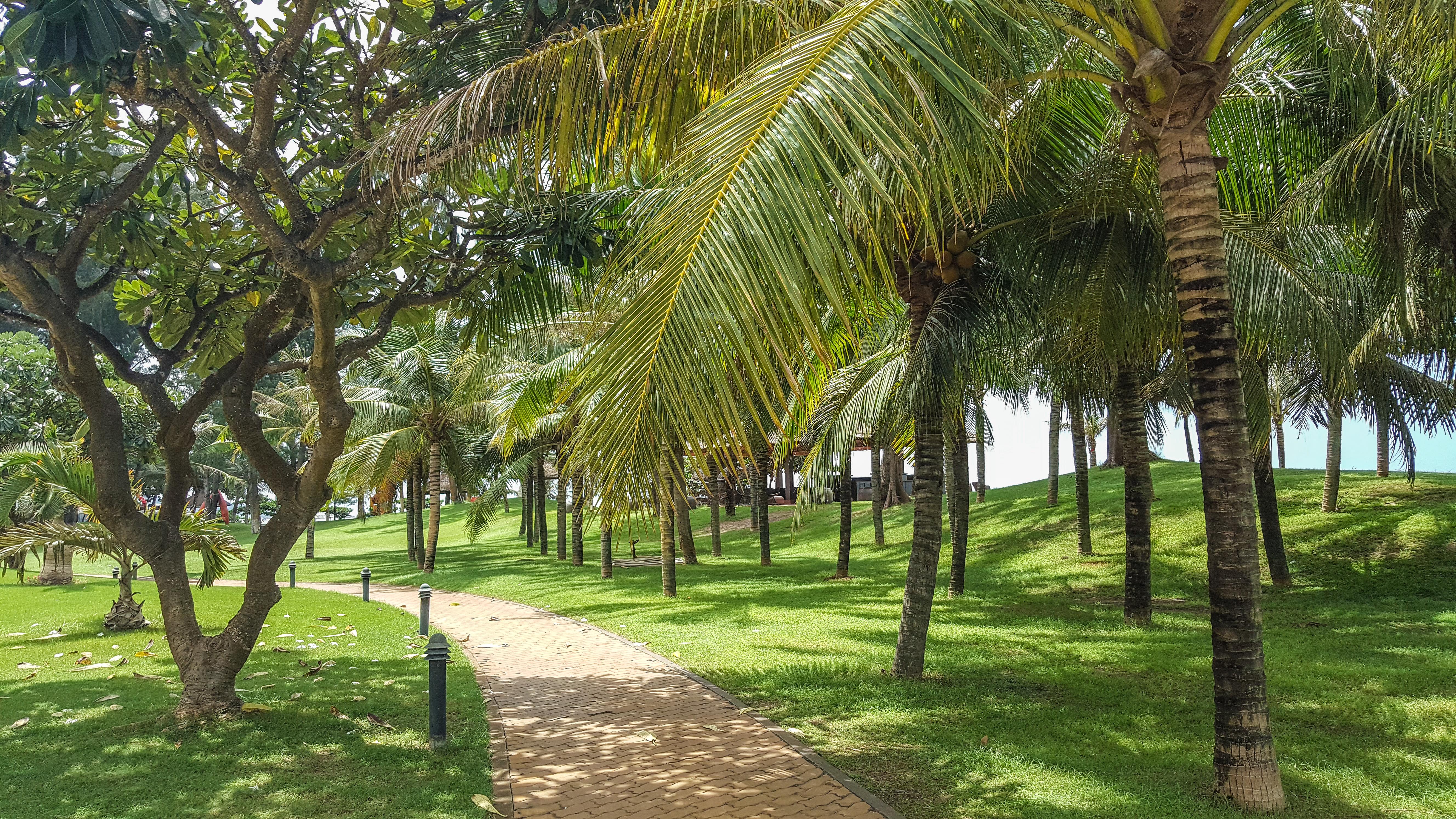 Phan Thiet Ocean Dunes Resort Екстериор снимка